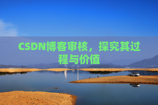 CSDN博客审核，探究其过程与价值